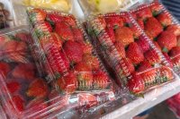 How strong is the evidence on microplastics in food?