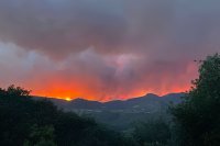 Notes from a truffle farmer after the Corbières fire