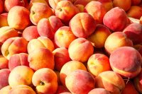 French stone fruit takes premium spot as Spanish prices drop across EU wholesale markets