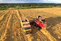 US winter wheat falls to its smallest crop since 1965 as corn and soybean supplies weigh on prices