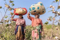 Women hold weaker land rights than men in most countries, and the law alone has not fixed it