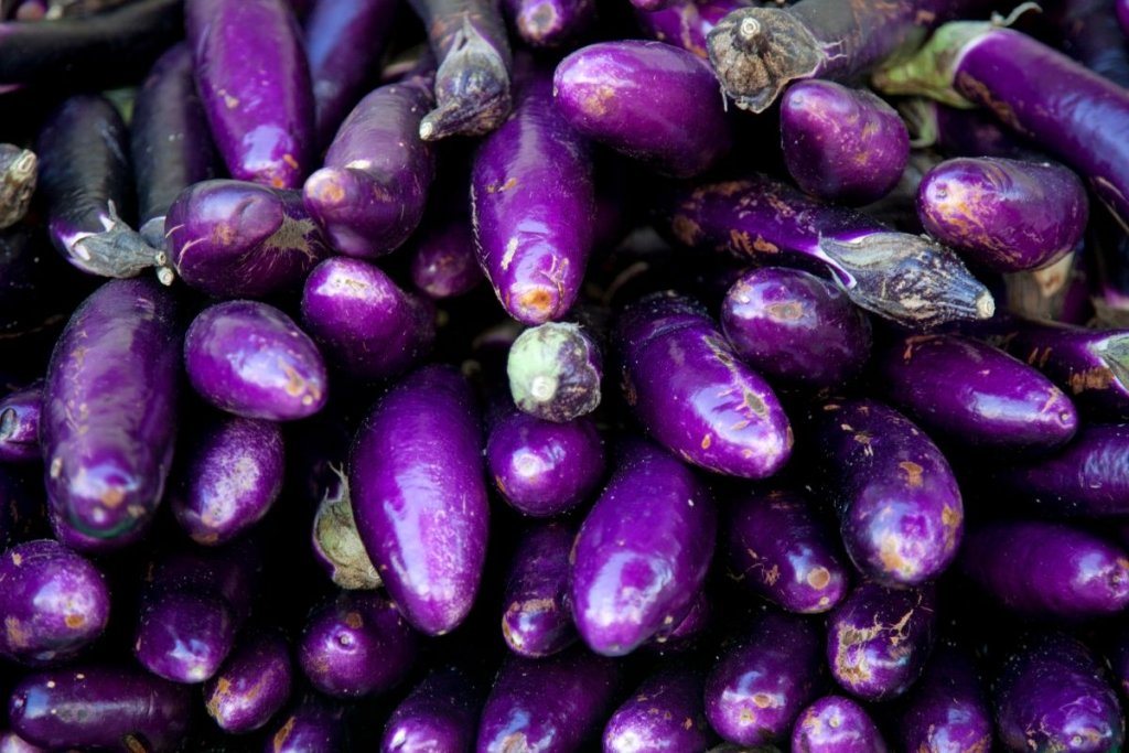 A deep dive into the global eggplant market