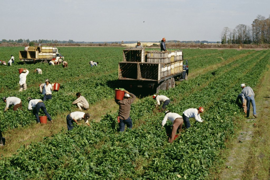Before carbon credits, there must be farmers