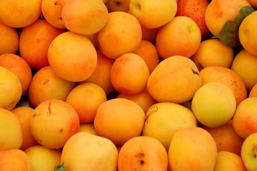 European stone fruit prices stabilize after weeks of decline