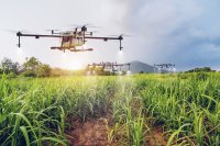 Five things to check before you invest in precision agriculture Five things to check before you invest in precision agriculture