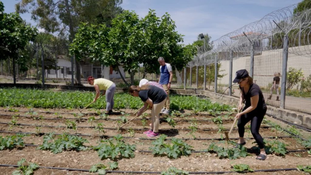 How social farming connects sustainable agriculture and reintegration