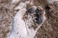 How compound NPK fertilizers work in plant nutrition How compound NPK fertilizers work in plant nutrition