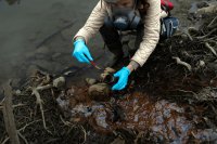 How petroleum contamination damages agricultural soil and how it can be restored How petroleum contamination damages agricultural soil and how it can be restored