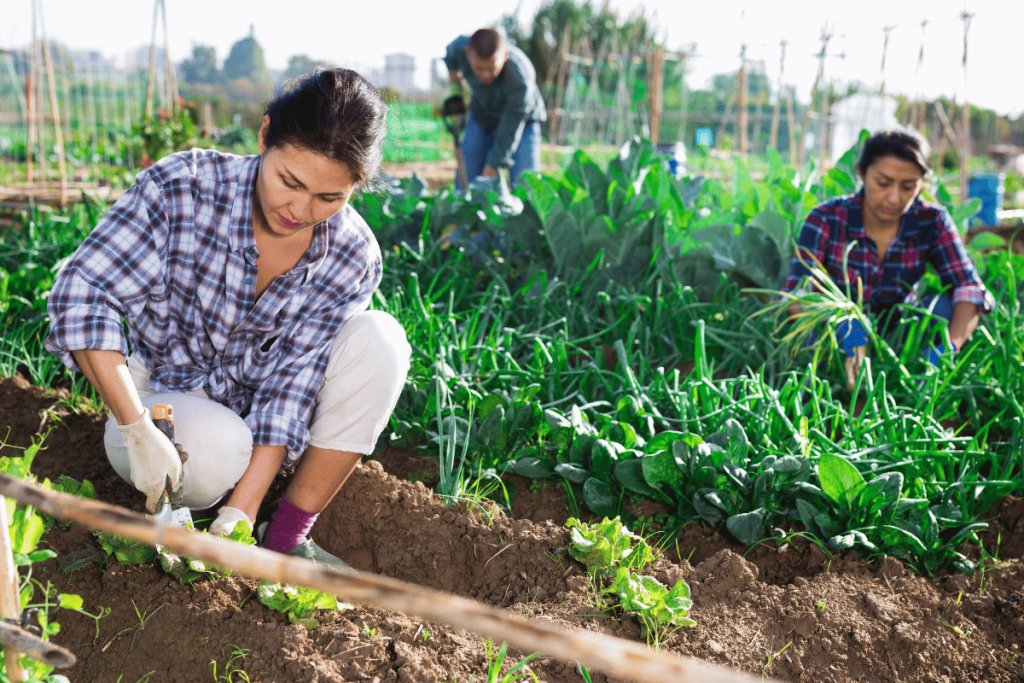 How social farming can support mental health and stronger rural communities