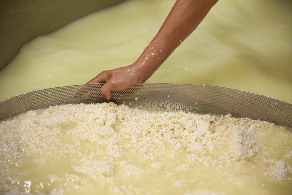 whey protein cheesemaking How whey from cheesemaking becomes a valuable protein ingredient