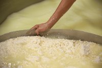 How whey from cheesemaking becomes a valuable protein ingredient