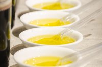 Olive oil panel testing
