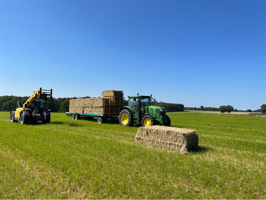 Produire un foin de graminées de qualité pour chevaux de sport quand le séchage devient plus difficile