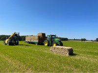 Produire un foin de graminées de qualité pour chevaux de sport quand le séchage devient plus difficile