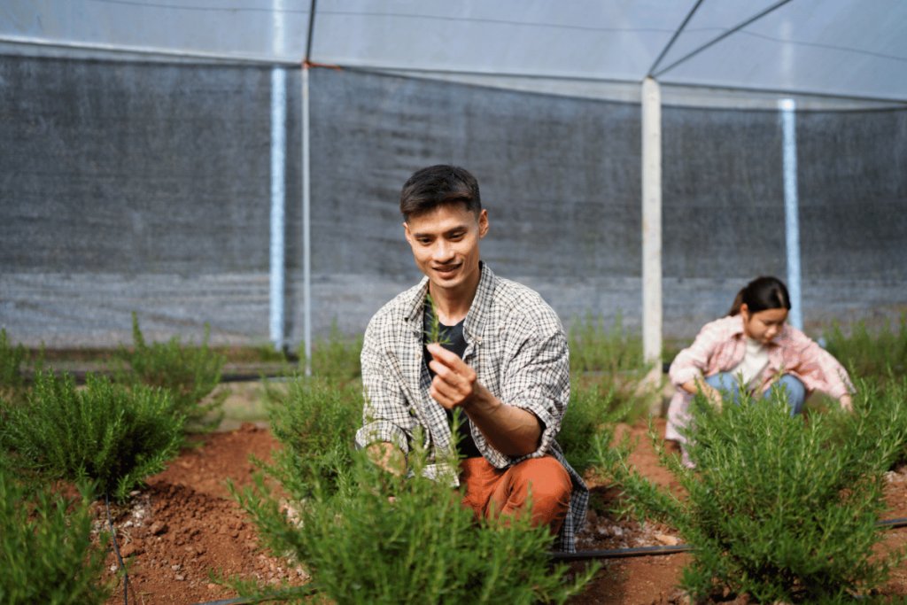 The prospects and challenges of sustainable agribusiness in Nepal