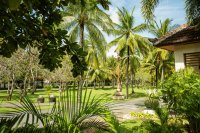 Types of palm trees and how to care for them Types of palm trees and how to care for them