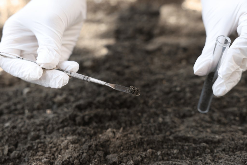 What PLFA soil biology testing can and cannot tell you