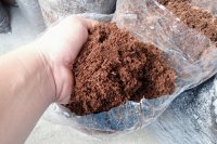 What coir is and how to use it in plants What coir is and how to use it in plants
