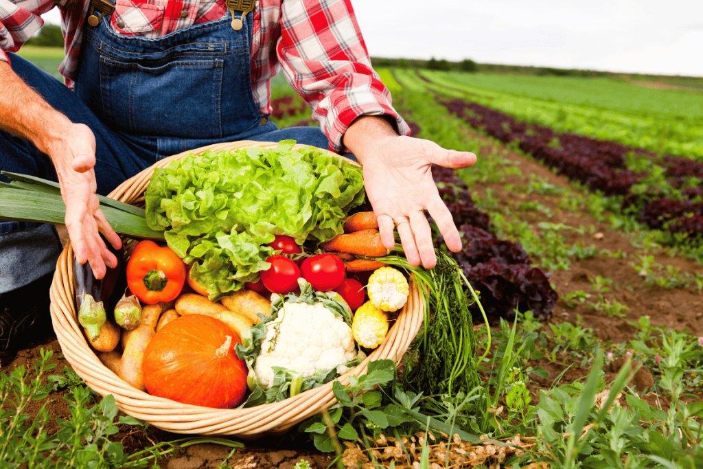 What it actually takes to build a farmer producer company that works