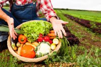 What it actually takes to build a farmer producer company that works What it actually takes to build a farmer producer company that works
