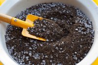 What potting mix is and how to choose the right blend What potting mix is and how to choose the right blend