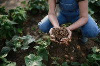 Why regenerative agriculture needs measurable indicators