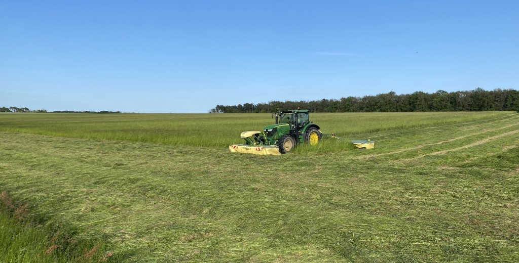 Producing quality grass hay for sport horses when drying gets harder