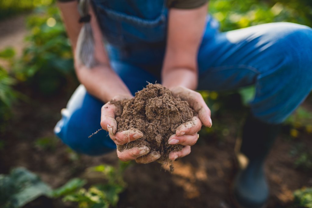 From the Neolithic Revolution to regenerative agriculture