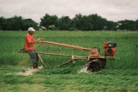 How farmers can measure and reduce their carbon footprint How farmers can measure and reduce their carbon footprint