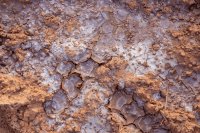 How salinity is degrading Syrian soil and what can reverse it