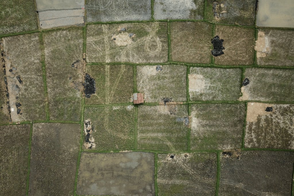 Ηow satellite time-series data reveals field performance and risk