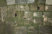 Ηow satellite time-series data reveals field performance and risk