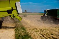 The Black Sea region covers the grain gap left by western Europe