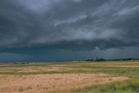 Can traditional weather indicators still compete with a weather app Can traditional weather indicators still compete with a weather app?