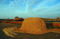 Drought leaves European livestock farms short of winter fodder