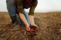Only 10% of the world is improving how it manages soil