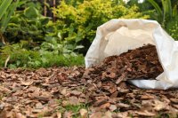 What to use as mulch, how much to apply and what to avoid What to use as mulch and how much to apply and what to avoid