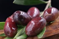 Η ελιά Καλαμών και τα χαρακτηριστικά της Η ελιά Καλαμών και τα χαρακτηριστικά της