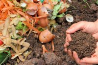 Food scraps beside finished compost How to compost food waste on the farm without contaminating crops