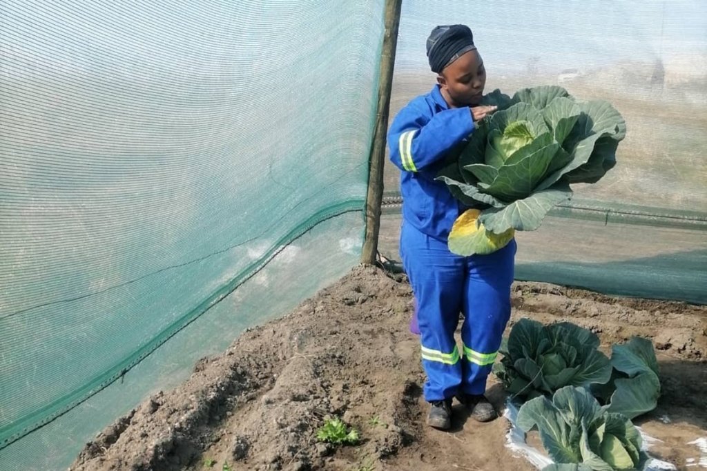 I stopped farming because life happened