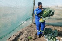 I stopped farming because life happened