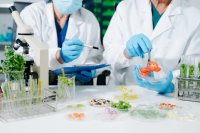 Researchers examining food samples in a laboratory How the AMBROSIA Innovation Hub connects people for safer food