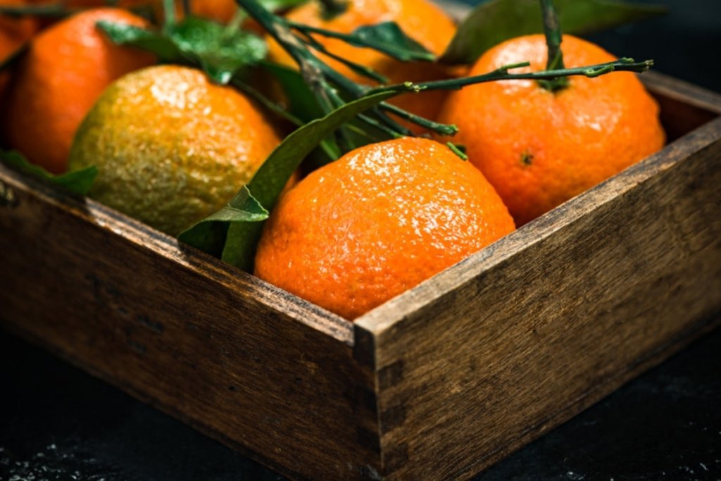 Citrus prices fall from November to Christmas in most years