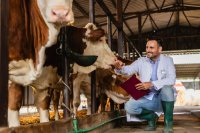 EcoGen webinar on 19 October looks at how livestock research reaches farms