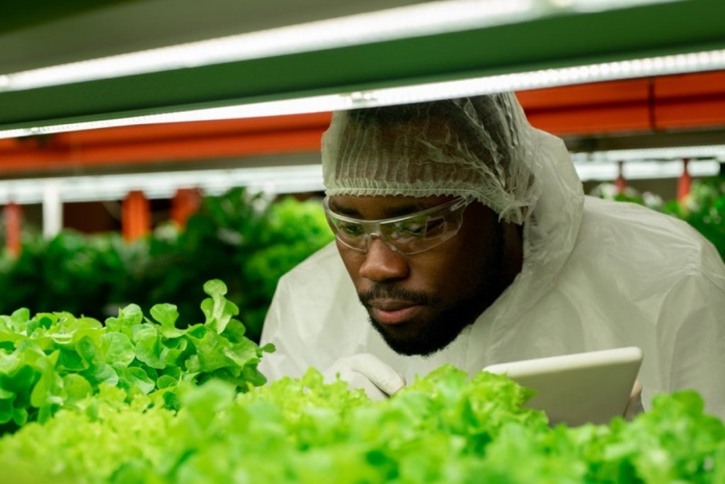 Five shifts that could change how Africa turns agricultural science into impact