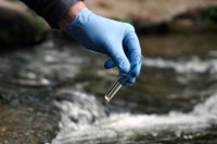 Taking a water sample from a stream How food safety surveillance on farms catches risks early