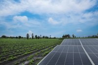 Solar panels next to a vegetable field Applications for Greece's new farm Improvement Plans open on 10 November