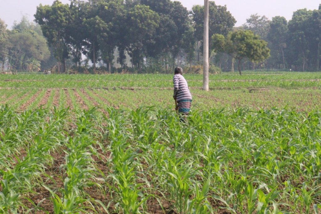 The unwritten rules of managing agriculture in Ghana and West Africa