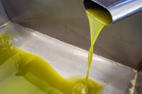 The gap between Spain's olive oil export and origin prices widens when prices fall