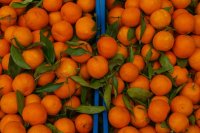 Cítricos em caixas Portugal paga muito menos que os outros compradores pela laranja espanhola